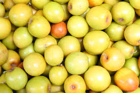 Fresh Jujube Fruit