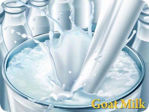 Goat Milk