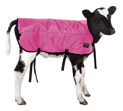 Calf Winter Blankets, Feature : Anti Bacterial, Anti-Wrinkle, Comfortable, Easily Washable, Embroidered