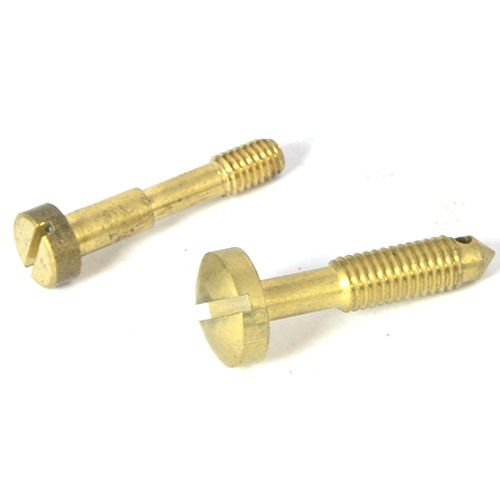 Brass Sealing Screws