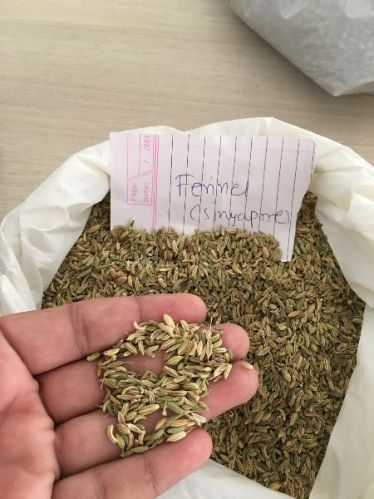 Fennel seeds, Packaging Type : 25 kg / 50 kg PP Or Jute