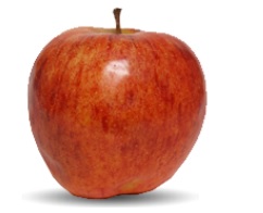 Fresh apple, Material : Natural