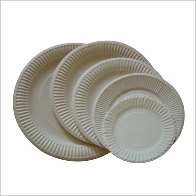 Disposable Paper Plates