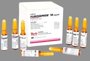 Furosemide Injection