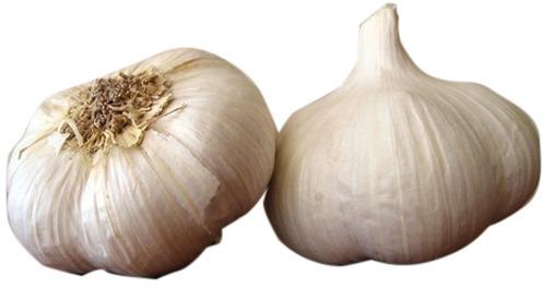 Raw Garlic