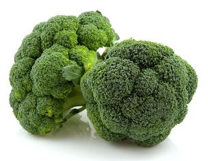 Fresh Broccoli