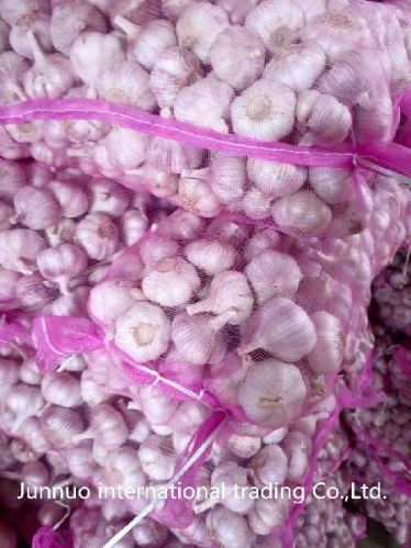 Garlic, Packaging Size : 20 Kg