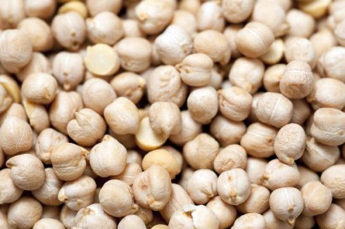 White Chickpeas