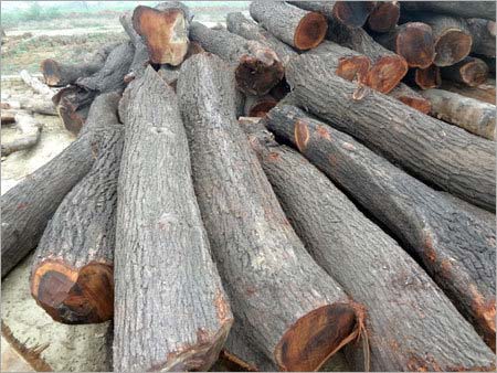 Babool Wood Logs, Color : Brown