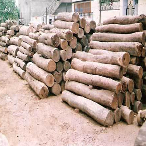 Sheesham Wood Logs, For Furniture, Color : Brown