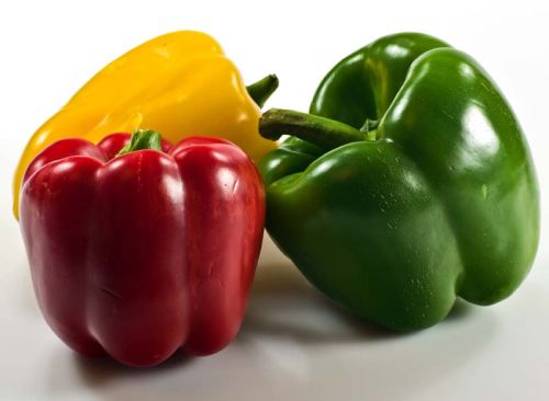 Fresh Capsicum, For Cooking, Packaging Type : Jute Bag