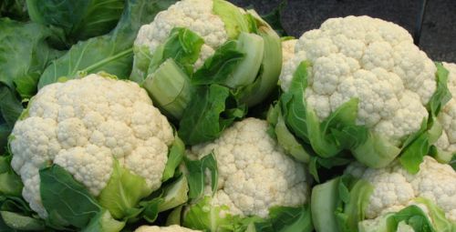 Fresh Cauliflower, Shelf Life : 0-5days