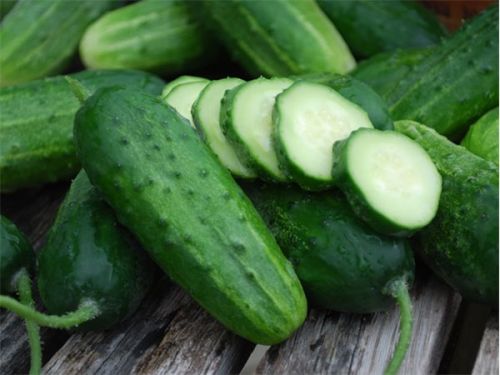 Fresh Cucumber,fresh Cucumber