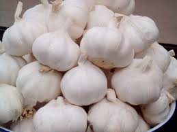 Fresh garlic, Delivery Available : Vegetable