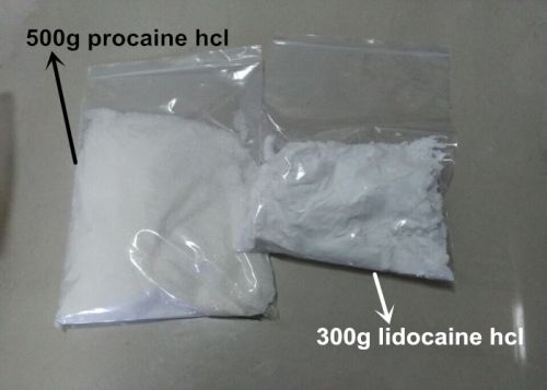 Procaine Hcl