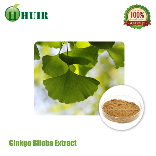 Ginkgo Biloba Leaf Extract, Brand Name : HUIR, Form : powder