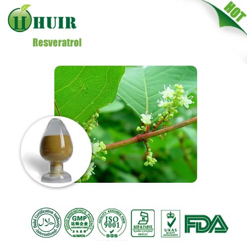 Resveratrol Extract