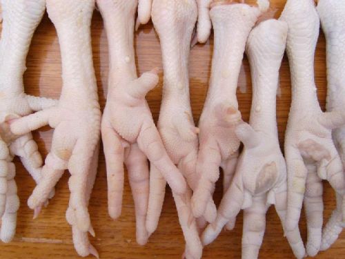 Frozen Whole Chicken, Condition : fresh, Certification : All
