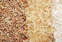 Basmati rice, Cultivation Type :Common