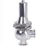 Clean Steam Safety Valve
