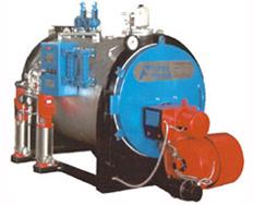 MiniMax Compact Packaged Boiler