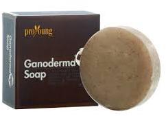 Ganoderma Soap