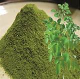 Moringa Powder