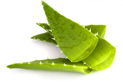 Natural Aloe Vera Leaves, For Juice, Skin Products, Feature : Good For Skin, Non Harmful