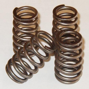 Clutch Springs