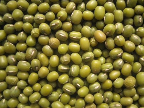 Green Mung Beans