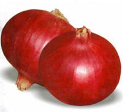 Nasik red onion