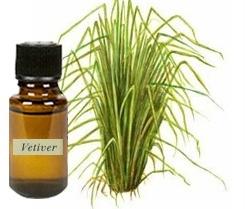 Vetiver Oil