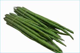 Organic Drumstick Veg