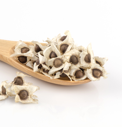 Organic Moringa Seeds