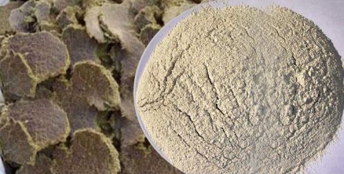 Cotton Seed Cake Powder