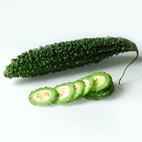 Bitter gourd