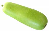 Bottle Gourd