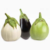 Fresh brinjal, Shelf Life : 15 Days