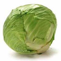 Fresh cabbage, Quality Available : A Grade