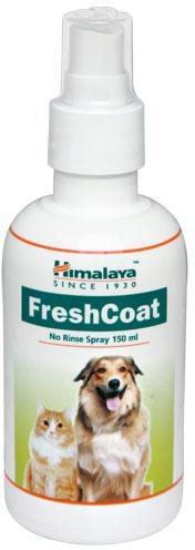 FreshCoat Spray