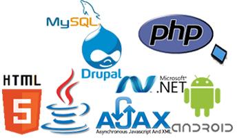 Software development