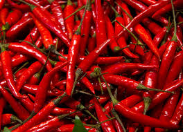 Fresh Red Chilli