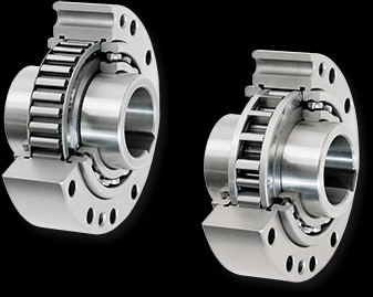 Basic Freewheels FBO, For Backstop, Overrunning Clutch