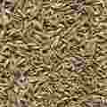 Cumin seeds, Purity : 99.50%, 99% & 98%