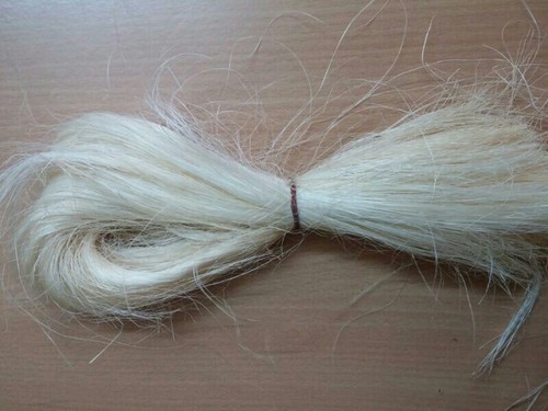 Banana Silk Fiber