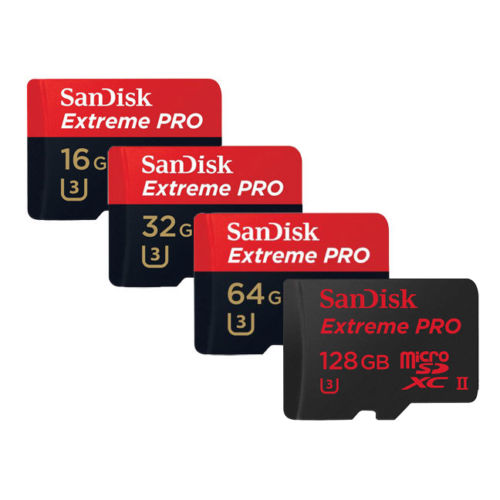SanDisk 16GB Micro SD Memory Card