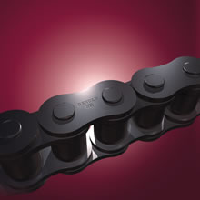 Renold Standard Duty Chain
