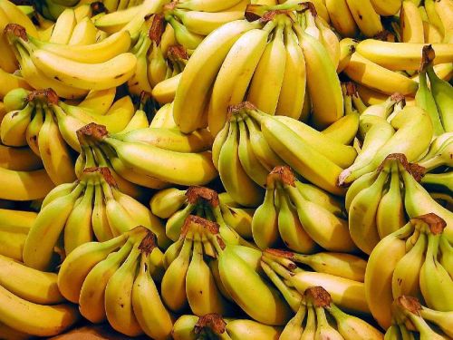 Fresh banana, Application : Daily Use, Traditional Meals