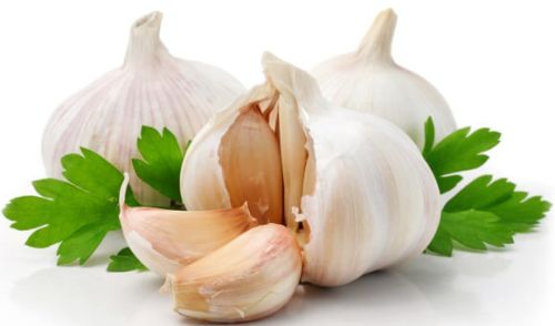 Fresh Garlic