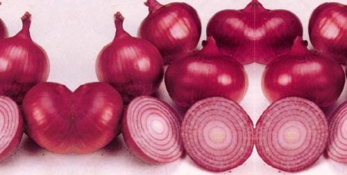 Fresh Red Onion